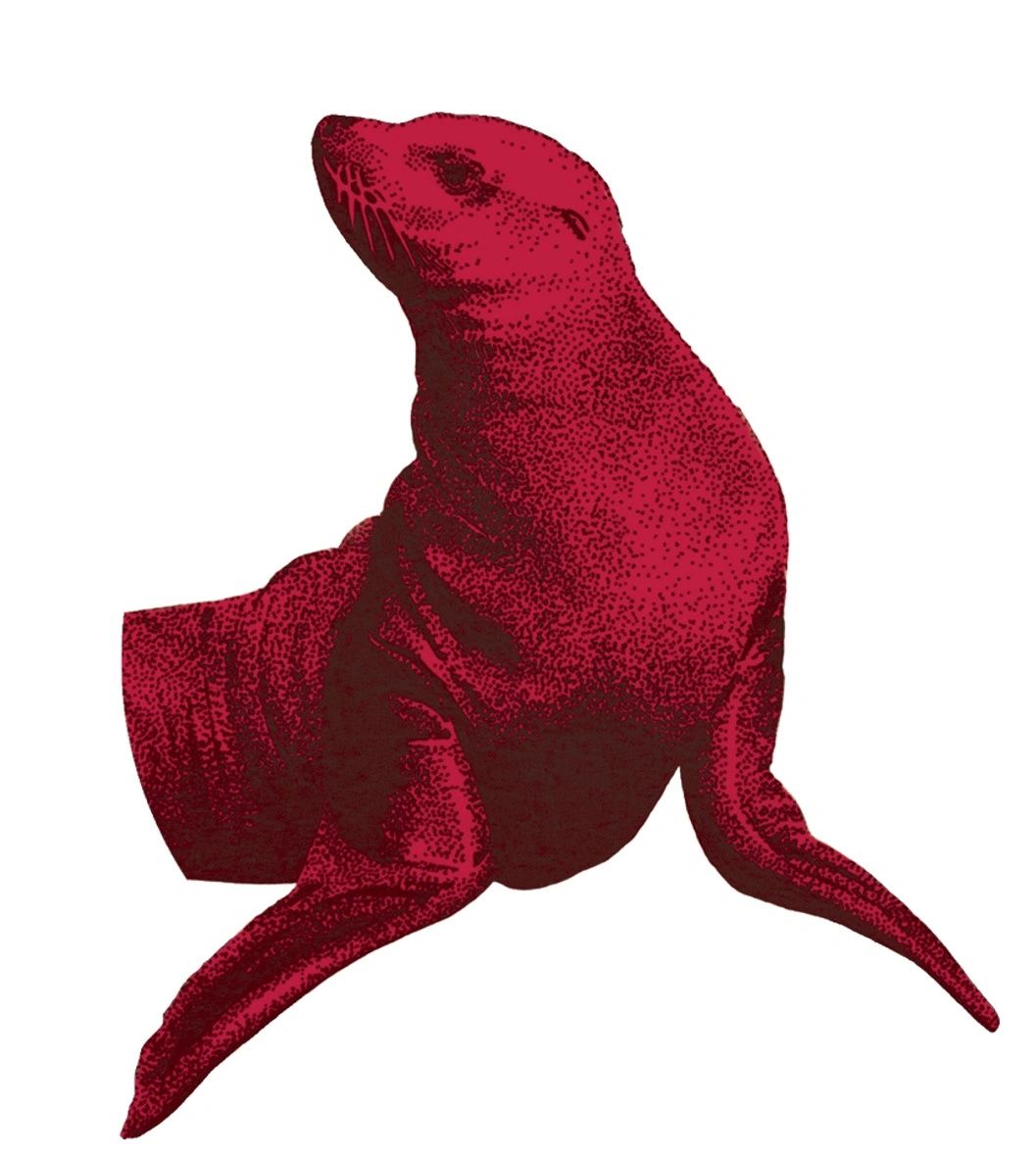 What Does Red Seal Even Mean?